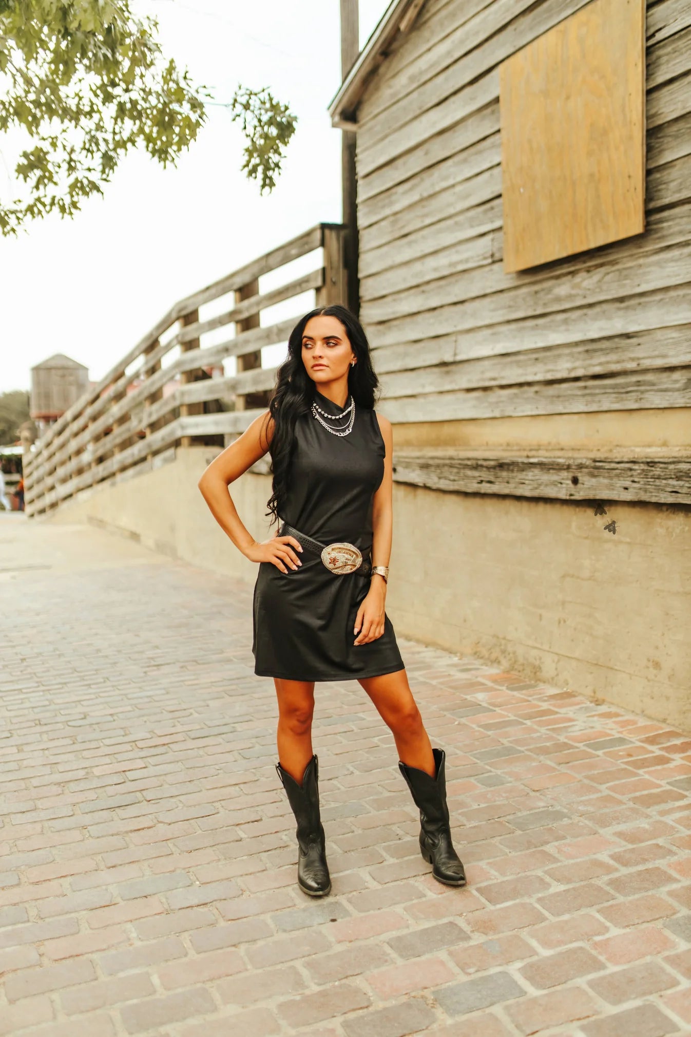 Leather Lux Dress