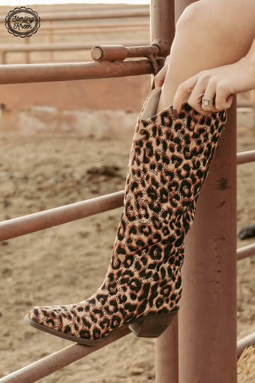 Kitty on the prowl boots